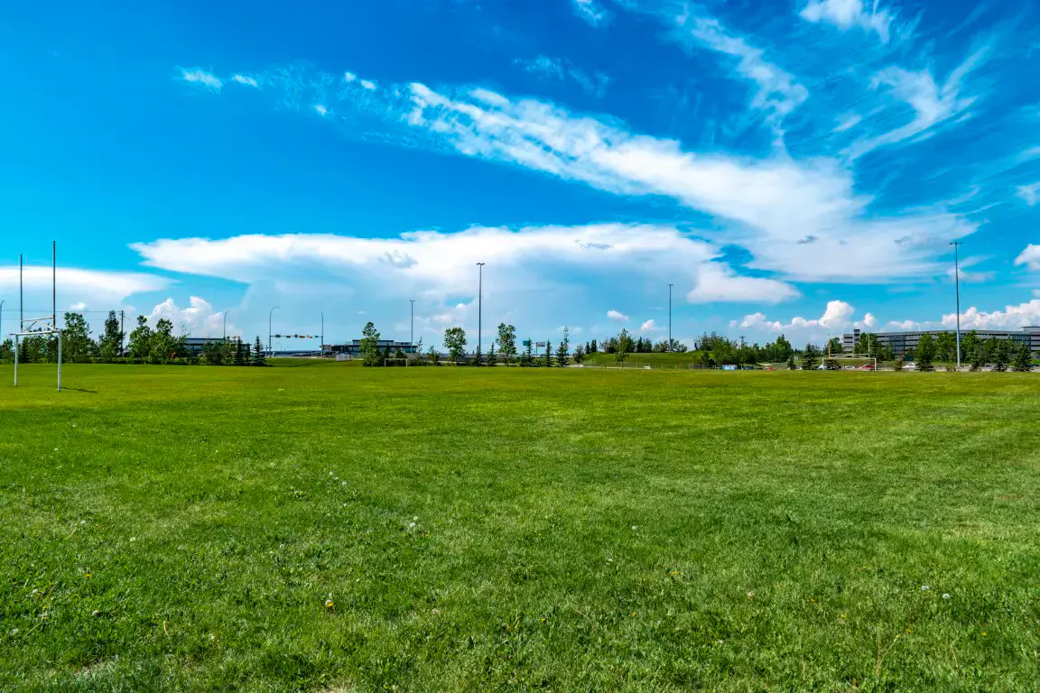 Altadore community view 1