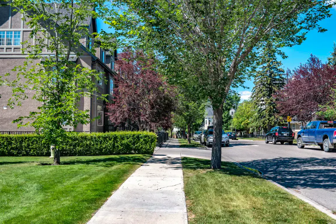 A residential street in Altadore